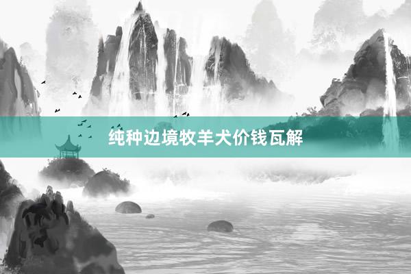 纯种边境牧羊犬价钱瓦解