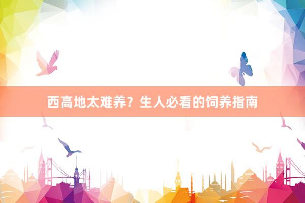 西高地太难养?生人必看的饲养指南